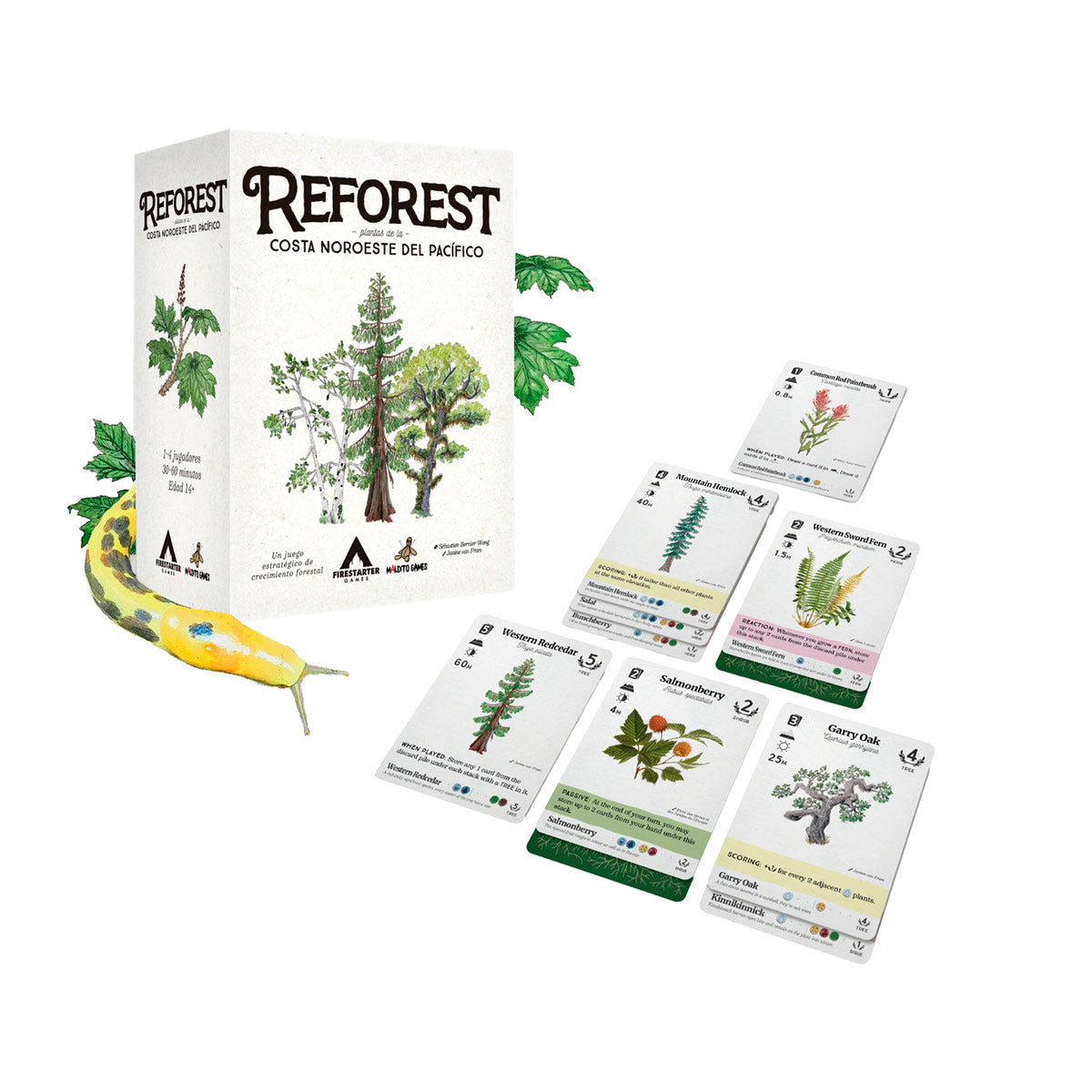 MDG Reforest Costa Noroeste Del Pacífico (Español)-Juego