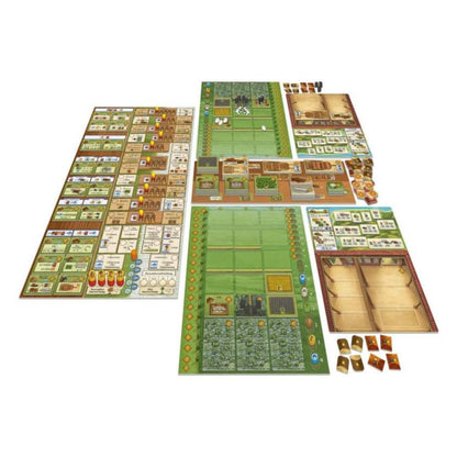 Campos de Arle Big box